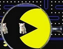 Thumbnail image for The Truth About Pac-Man