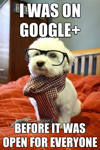 Dog in glasses and scarf: 'I was on Google+ before it was open for everyone'.