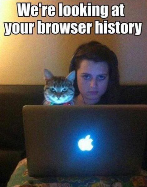 were looking at your browser history