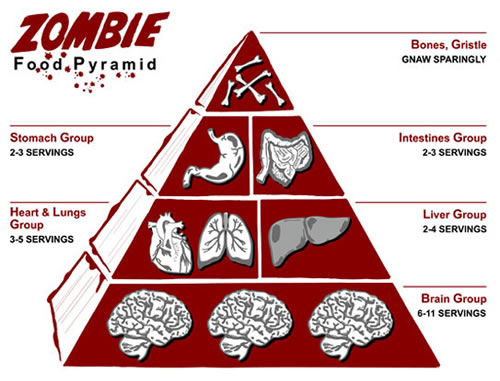 Zombie food pyramid