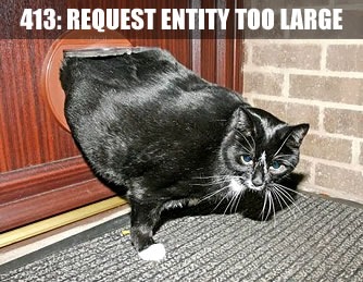 "413: Request entity too large" -- cat stuck in cat door