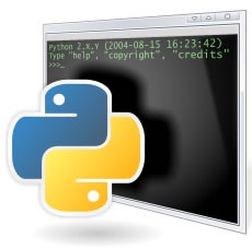 Python icon