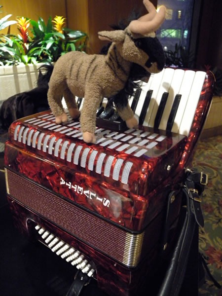 Plush gnu on top of my travelling accordion Plush gnu on top of my travelling accordion