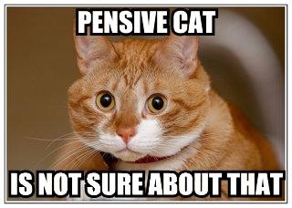 LOLcat: "Pensive cat is not sure about that"