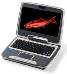 A netbook displaying a picture of a red herring on its screen