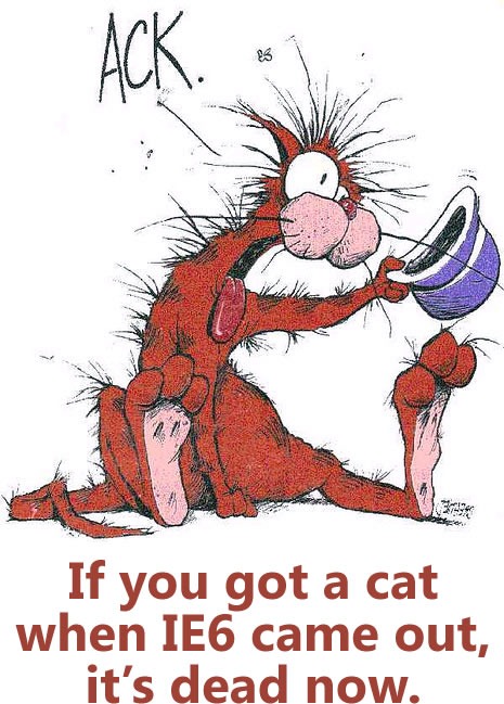 Picture of "Bill the Cat" from "Bloom County" captioned with "If you got a cat when IE6 came out, it's dead now."