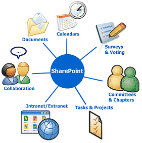 Diagram showing what SharePoint does: Document management, calendars, surveys and voting, committees and chapters, tasks and projects, intranet/extranet and collaboration