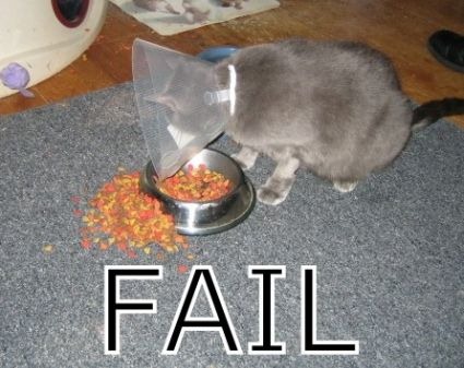 failcat