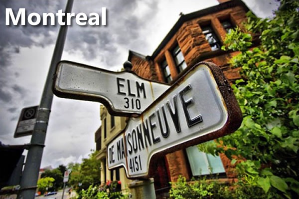 montreal elm de maisonneuve