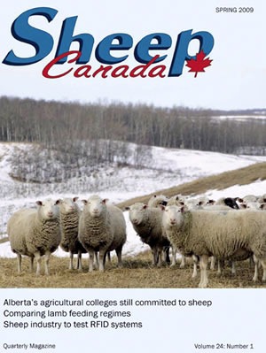 Cover of "Sheep Canada" magazine Cover of "Sheep Canada" magazine