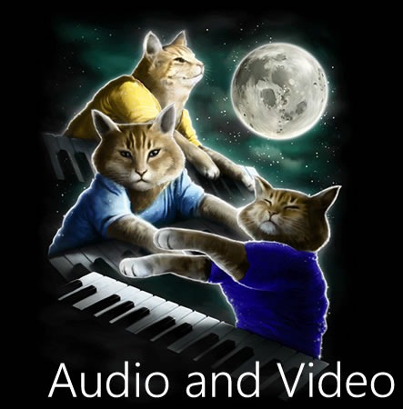 "Three Keyboard Cats" pardoy of the "Three Wolf Shirt": "Audio and Video"