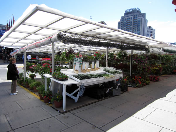 ByWard Market stall selling flowers and vegetables