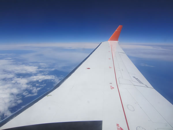 Airplane wing