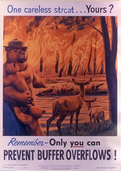 Only you can prevent buffer overflows