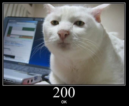 200