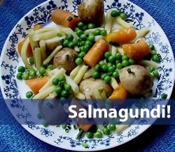 salmagundi 2