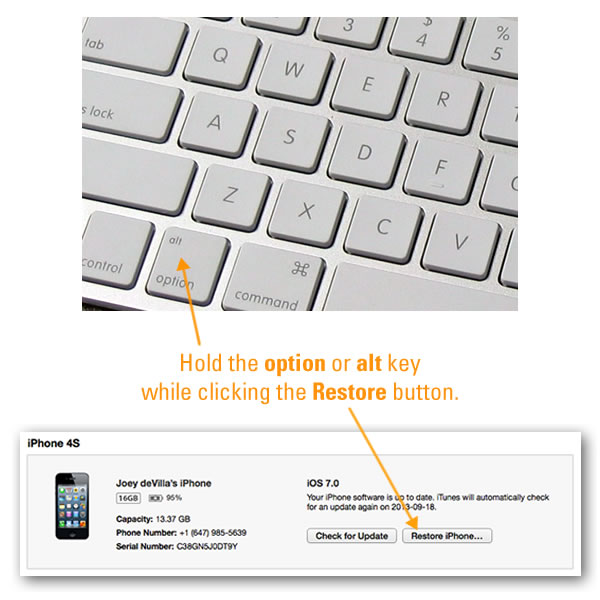 hold option or restore key