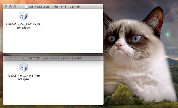 iOS 7 backups