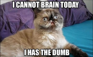 cannot brain today small