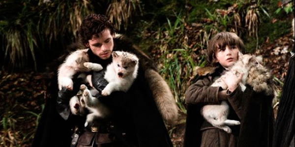 stark direwolves