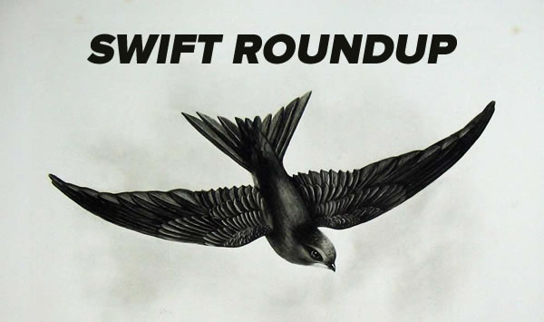 swift roundup