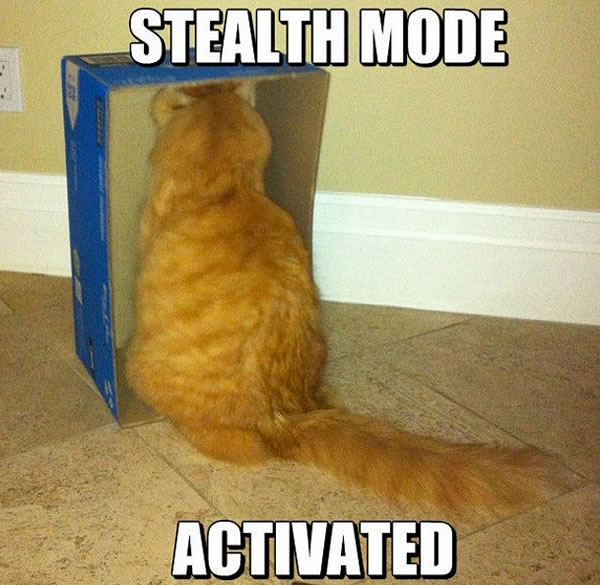 stealth mode activated