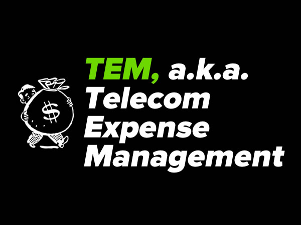 tem slide