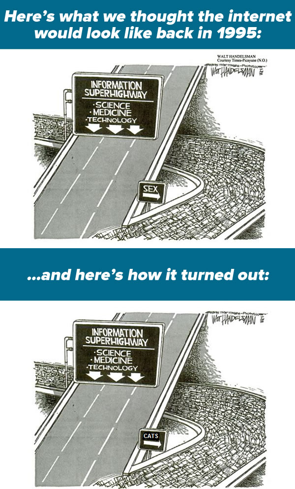 how the internet turned out