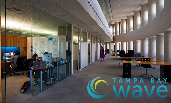 tampa bay wave