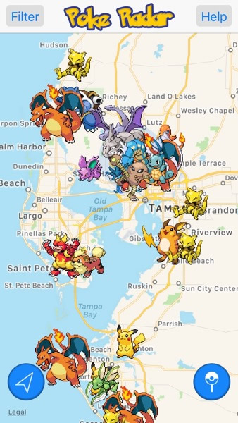 poke radar tampa
