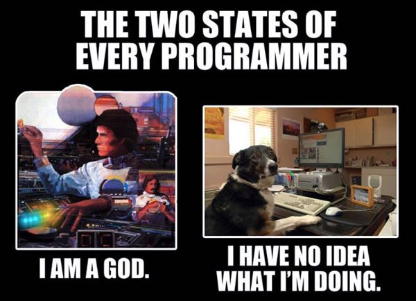 2-states-of-every-programmer