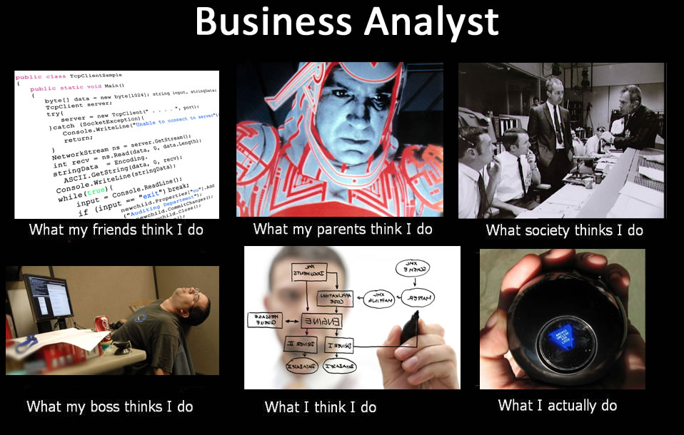 The What People Think I Do Poster For Business Analysts Global Nerdy