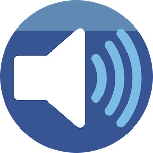 Speaker icon