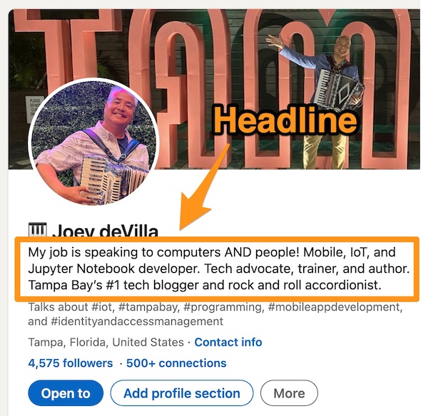 Screenshot of Joey deVilla’s LinkedIn page, with the headline highlighted.