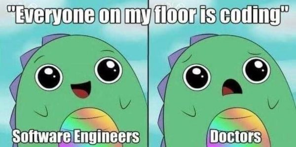 2-panel comic with the title “Everyone on my floor is coding”. Panel 1 features a cartoony dragon labelled “Software engineers,” smiling. Panel 2 features the same cartoony dragon labelled “Doctors,” aghast.