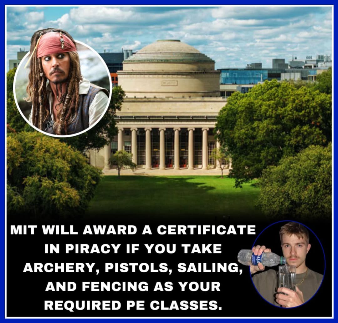 mit-pirate-certificate