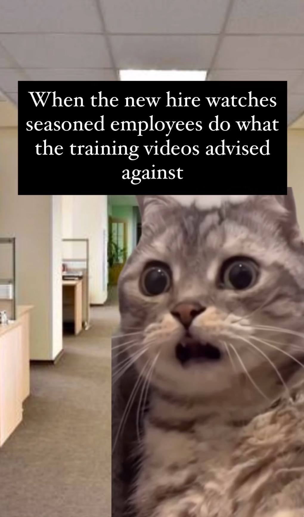 new_hire