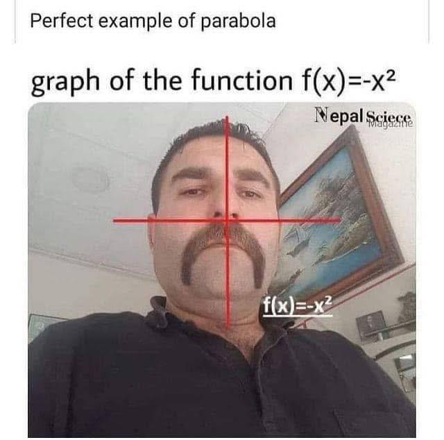 perfect-example-of-parabola