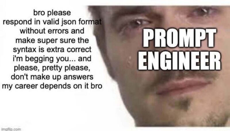 prompt-engineer-bro-please