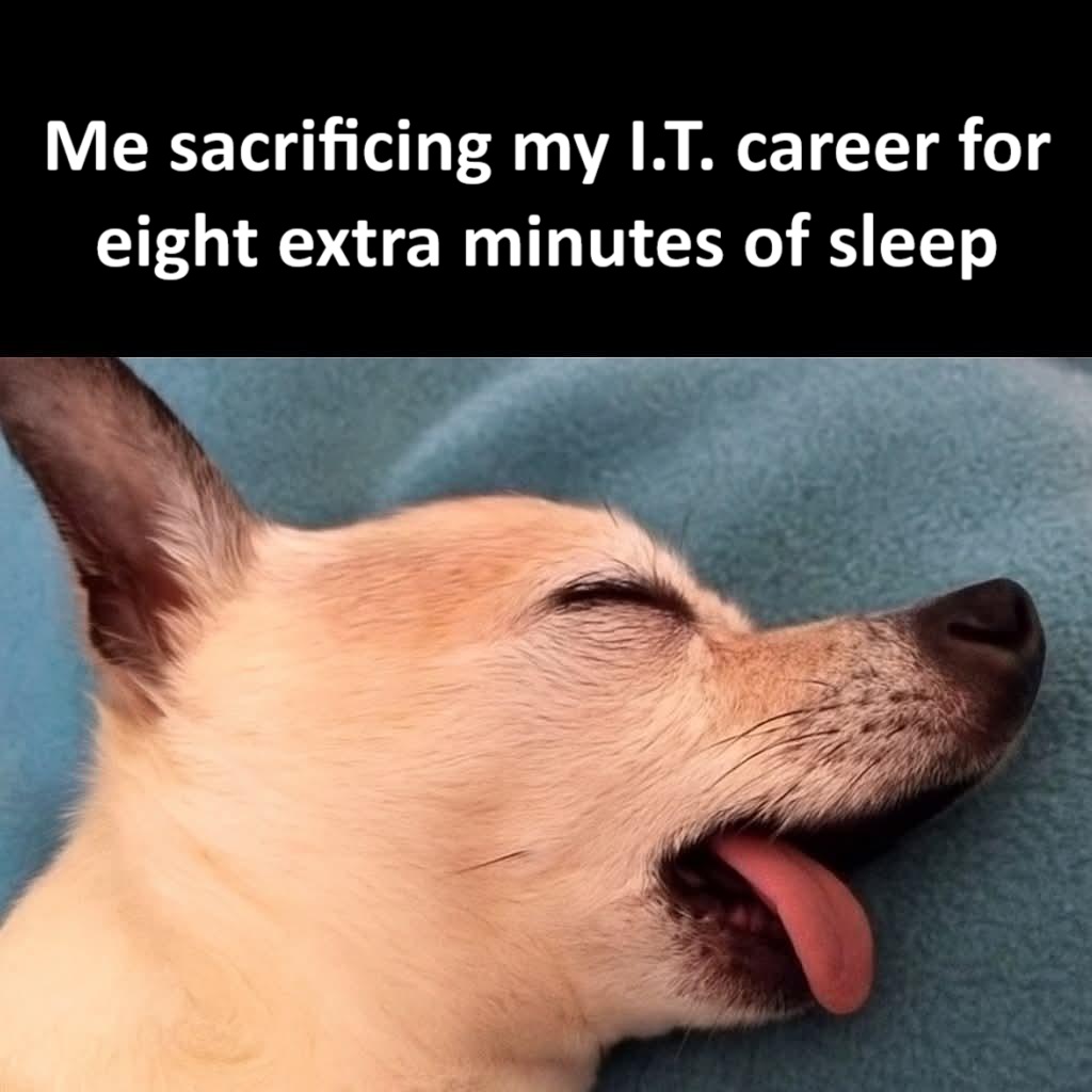 sacrificing-it-career