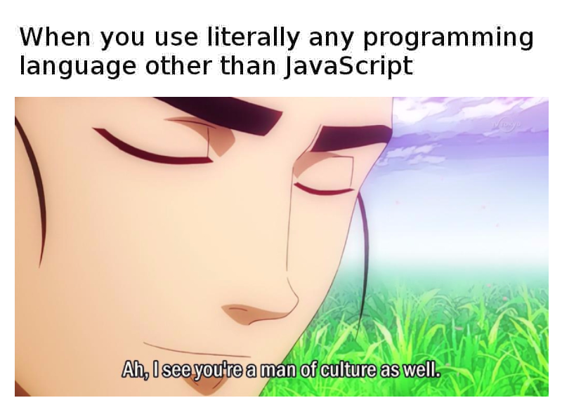 literally-any-other-programming-language-than-javascript