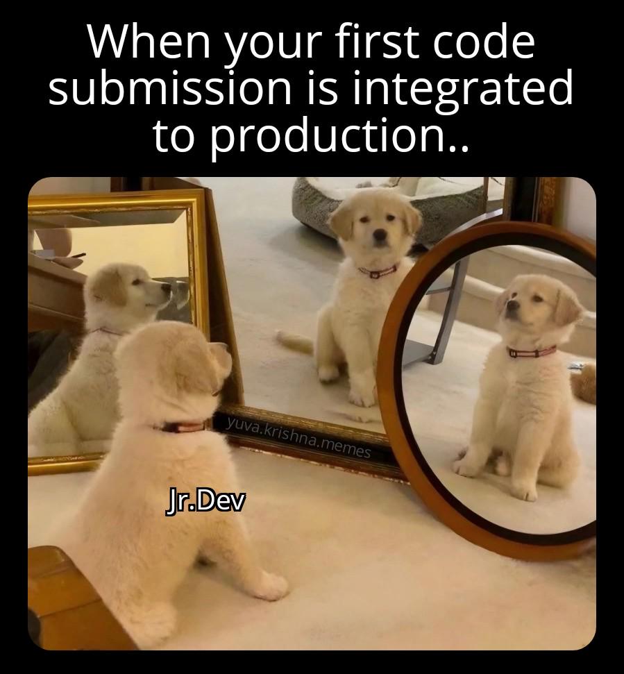 when-your-first-code-submission-is-integrated-into-prod