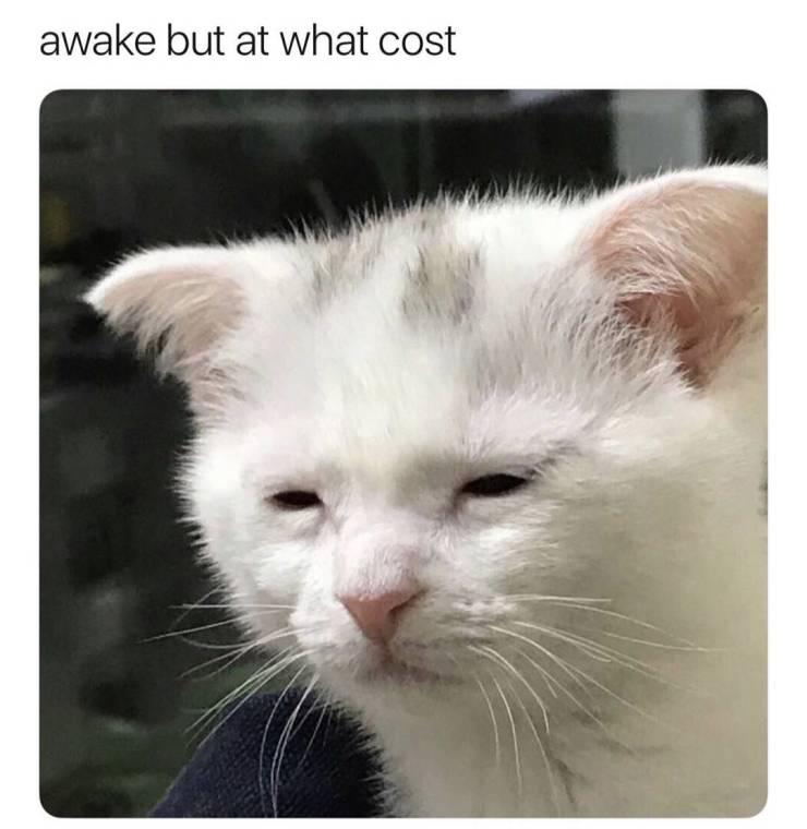 awake-but-at-what-cost