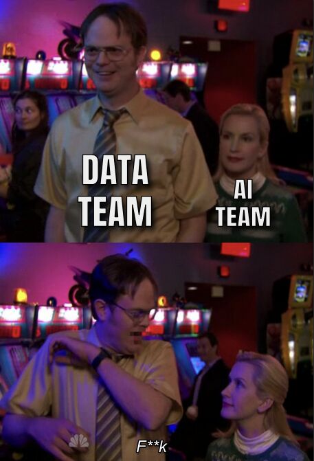 data-team-ai-team