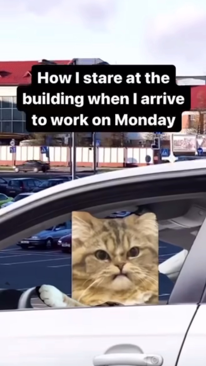 how_i_stare_when_i_arrive