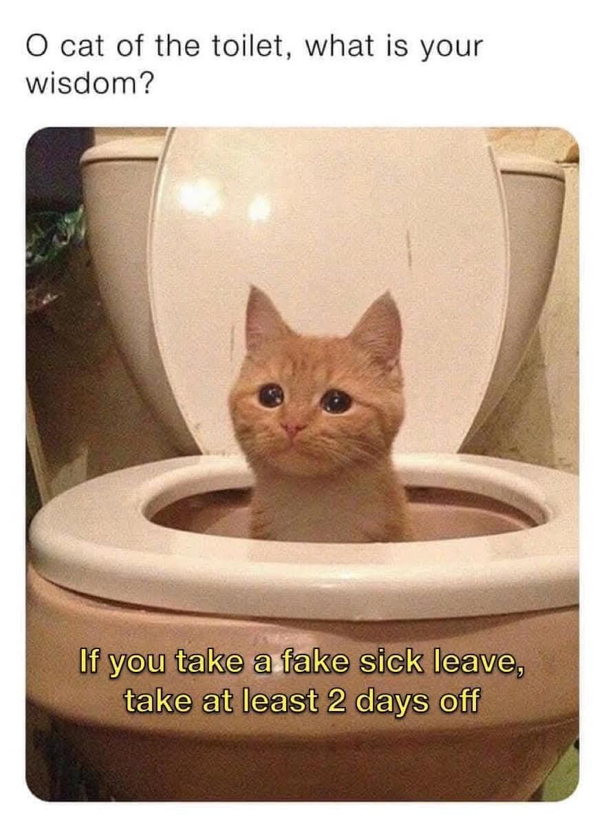 if-you-take-a-fake-sick-leave