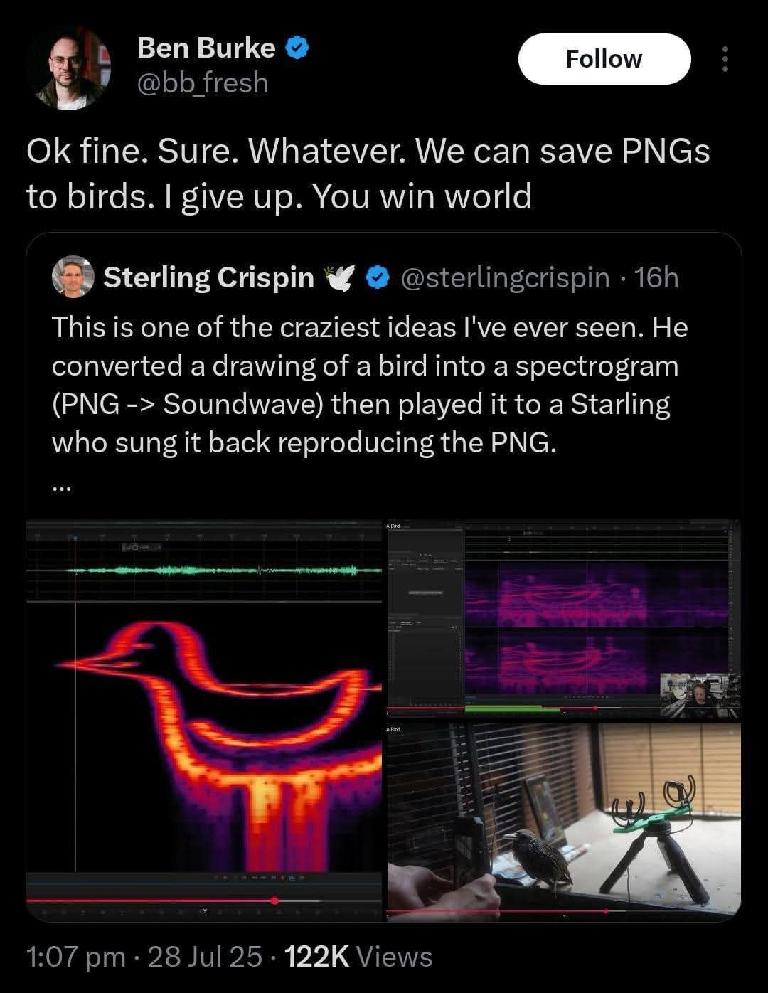 saving-pngs-to-birds