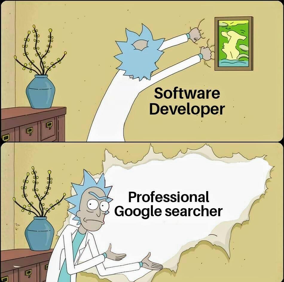 software-developer-professional-google-searcher