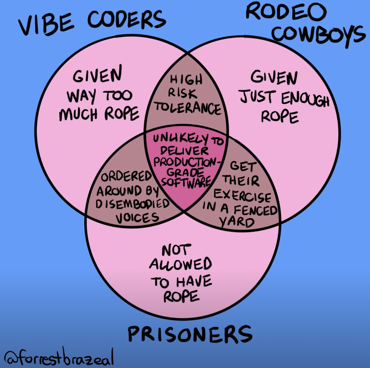 vibe-coders-rodeo-cowboys-prisoners