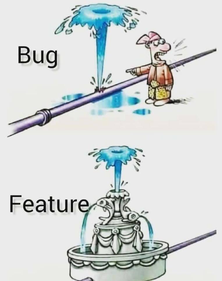 bug-vs-feature
